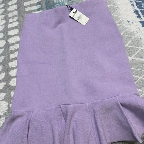 Express Pencil Skirk - Picture 3 of 4